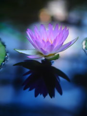 水鏡