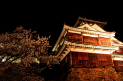 福知山城ライトアップ