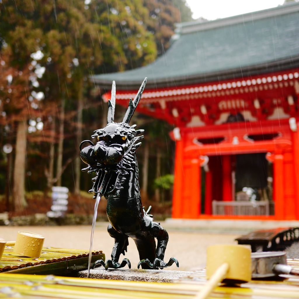 清めの水と恵みの雨