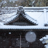 町の神社