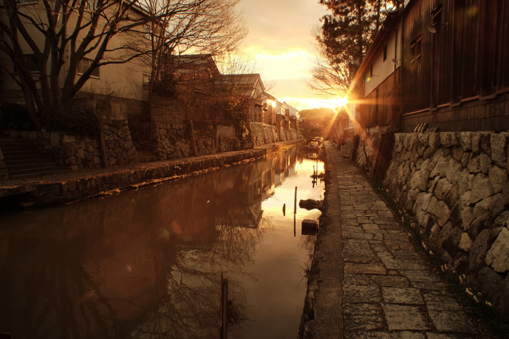 八幡掘は夕日に照らされて。