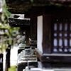時の流れ