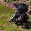 撮影中のサガさん