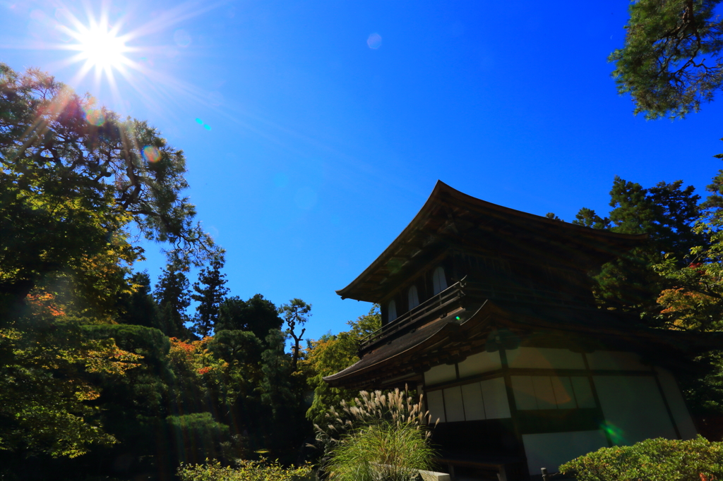 銀閣寺は輝きの中で。