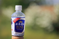 我が血と成れ