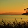水鳥公園夕景
