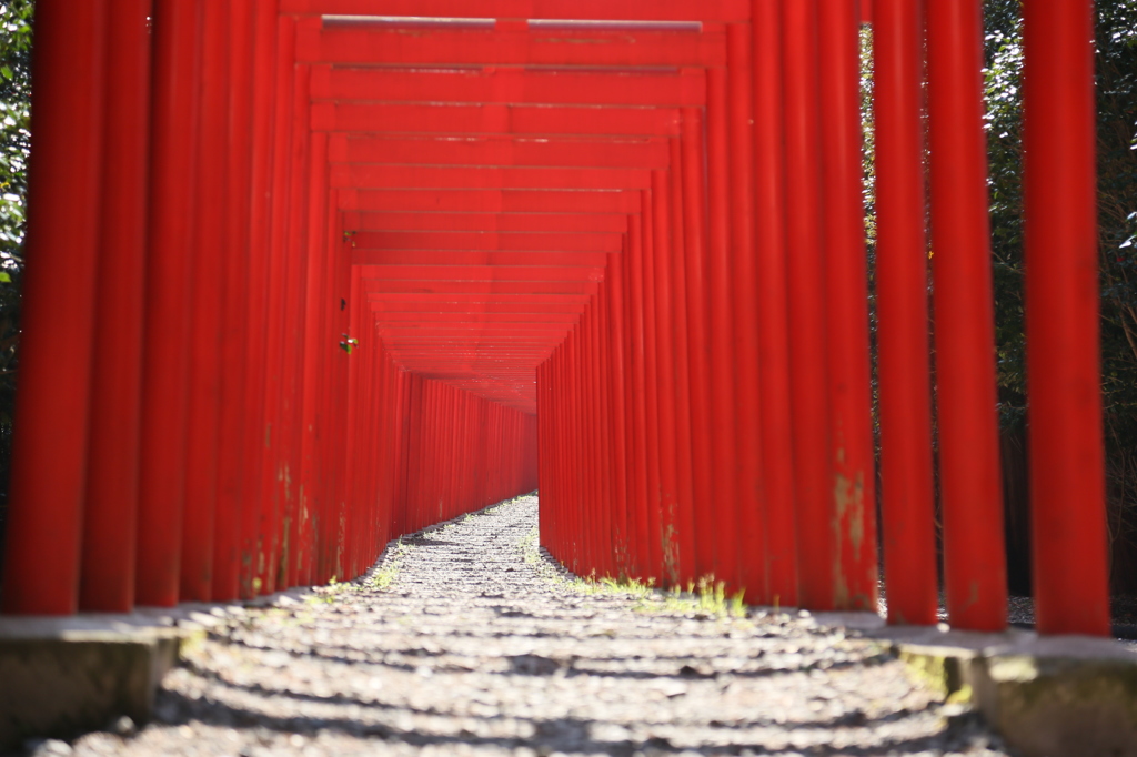 紅き門の先へ