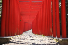 紅き門の先へ