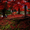 紅を纏う5