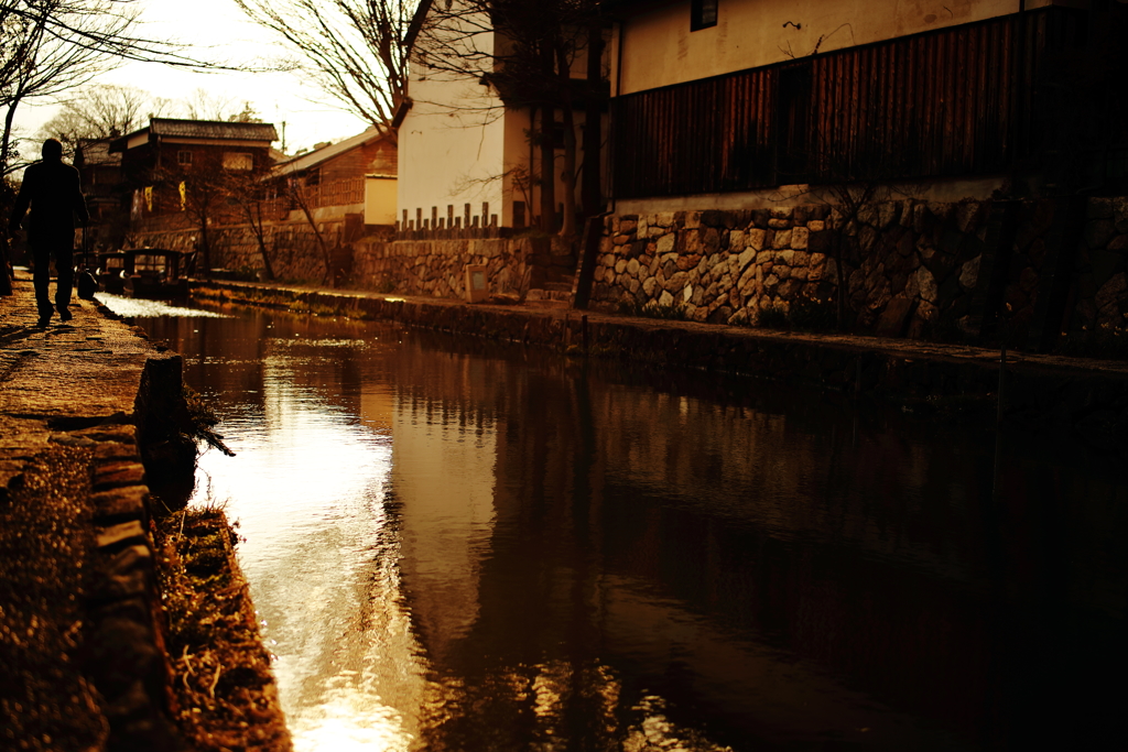 水郷歩き
