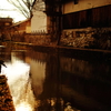 水郷歩き