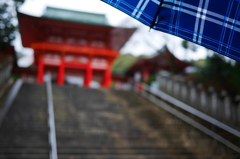 雨の日の参拝