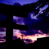 夕暮れの稲荷大社