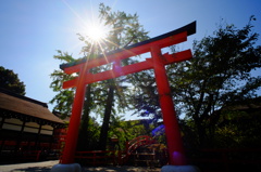 鳥居は優しく照らされて