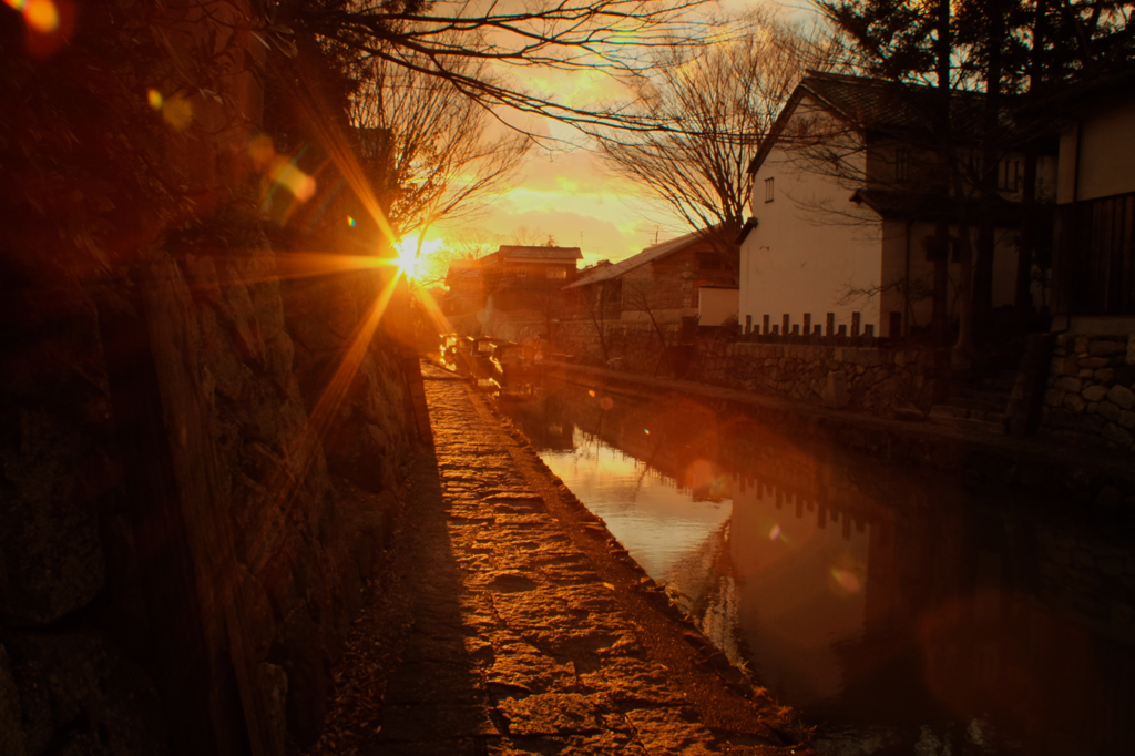 キンイロ・キラメキ