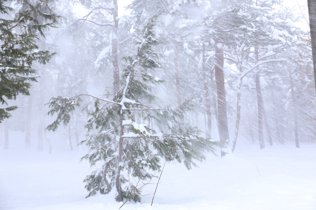 吹雪