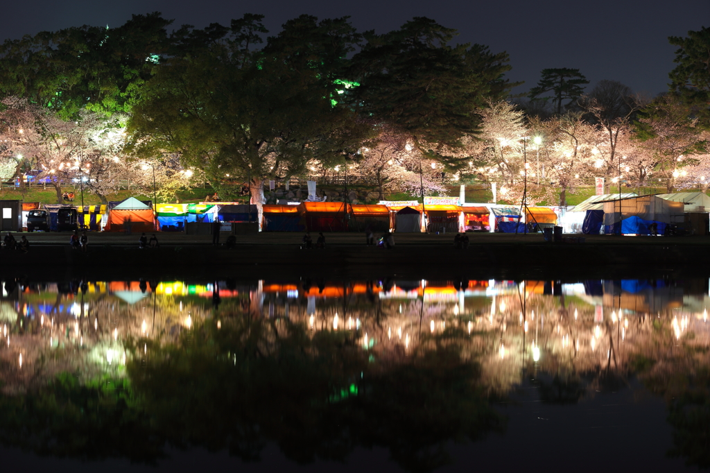 岡崎夜桜祭