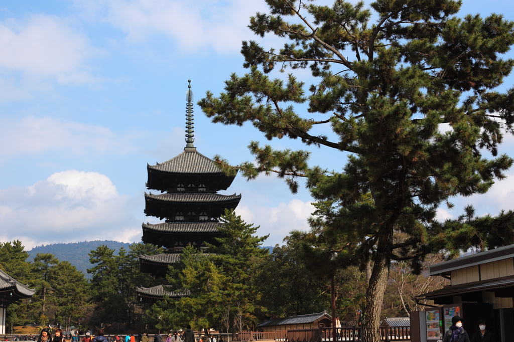 奈良公園にて