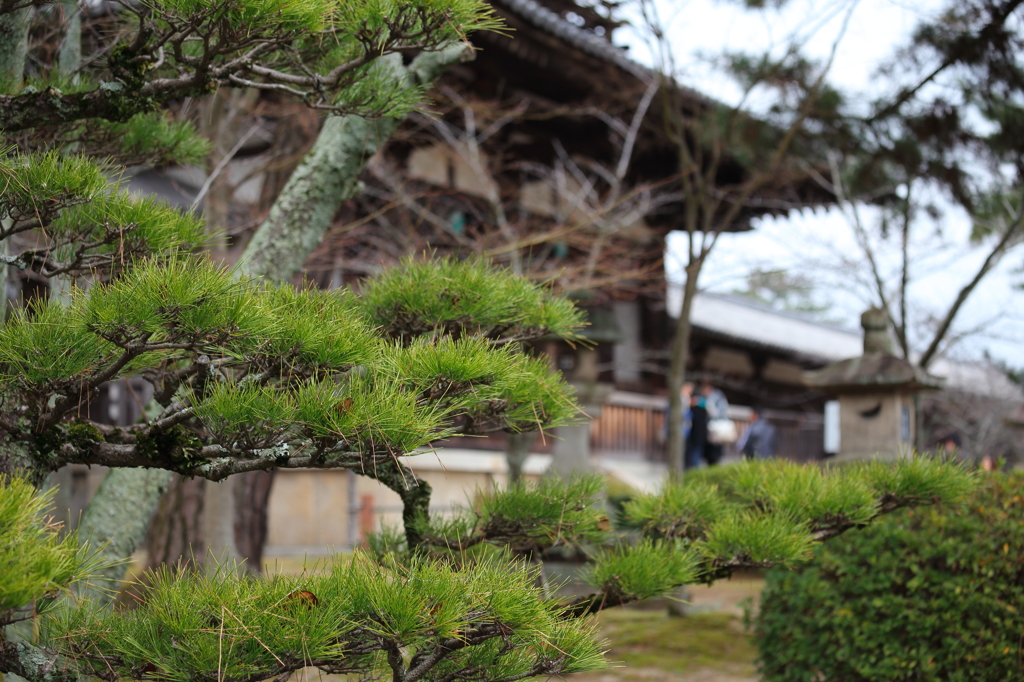 法隆寺②