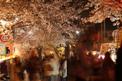 岡崎桜祭り３