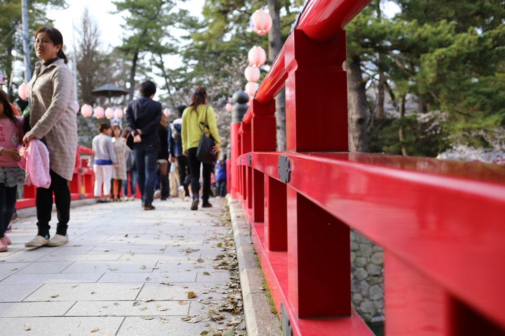 岡崎公園桜祭り