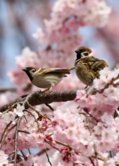 未来に目を輝かせて♪