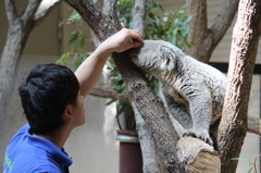 飼育員さん、大好き・・・　②