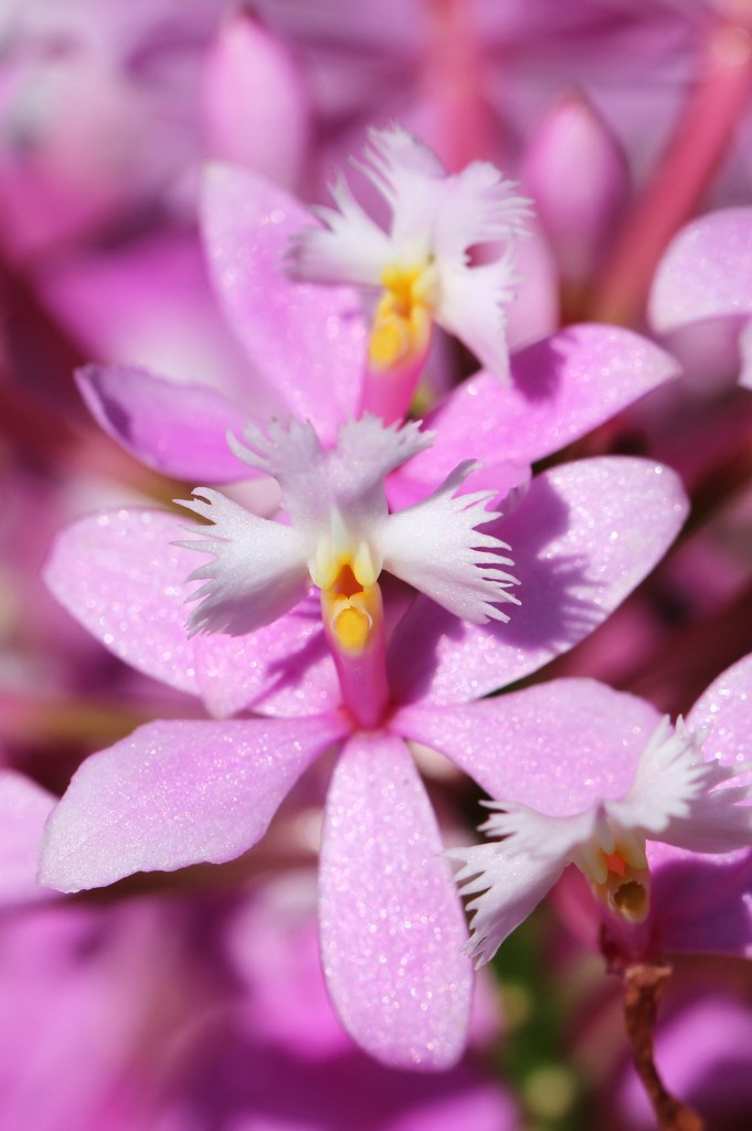 人のように見えませんか？