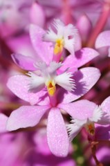 人のように見えませんか? 人のように見えませんか?