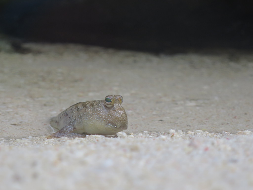 しばしの沈黙