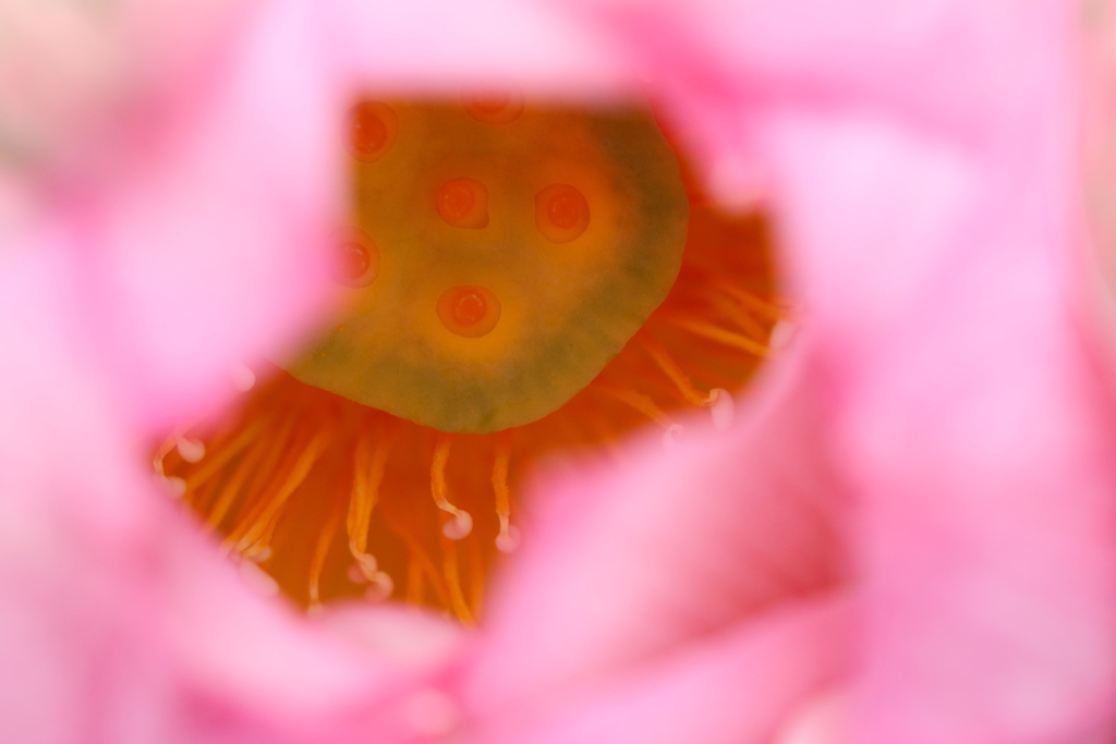 視線