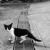 ミナミの片隅で　冒険はまた今度？