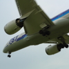 787