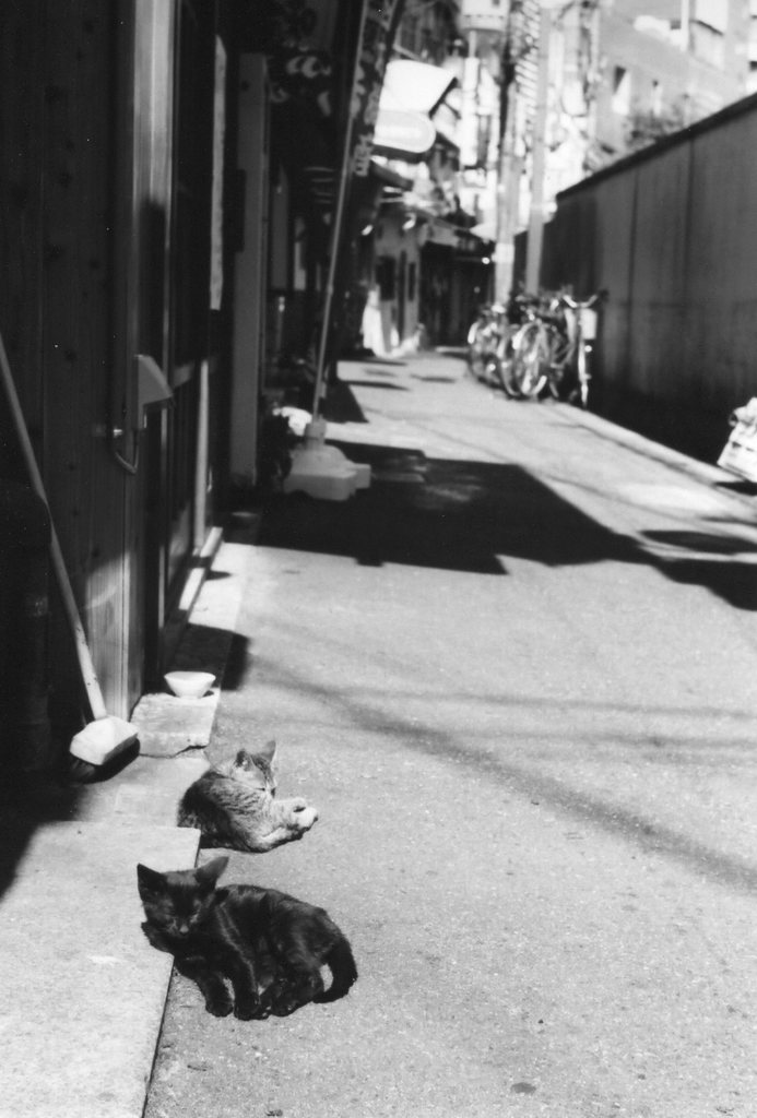 都会の片隅で・・