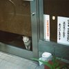 お外に出たいな～