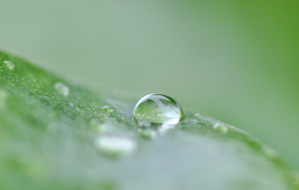 雨上がりの朝