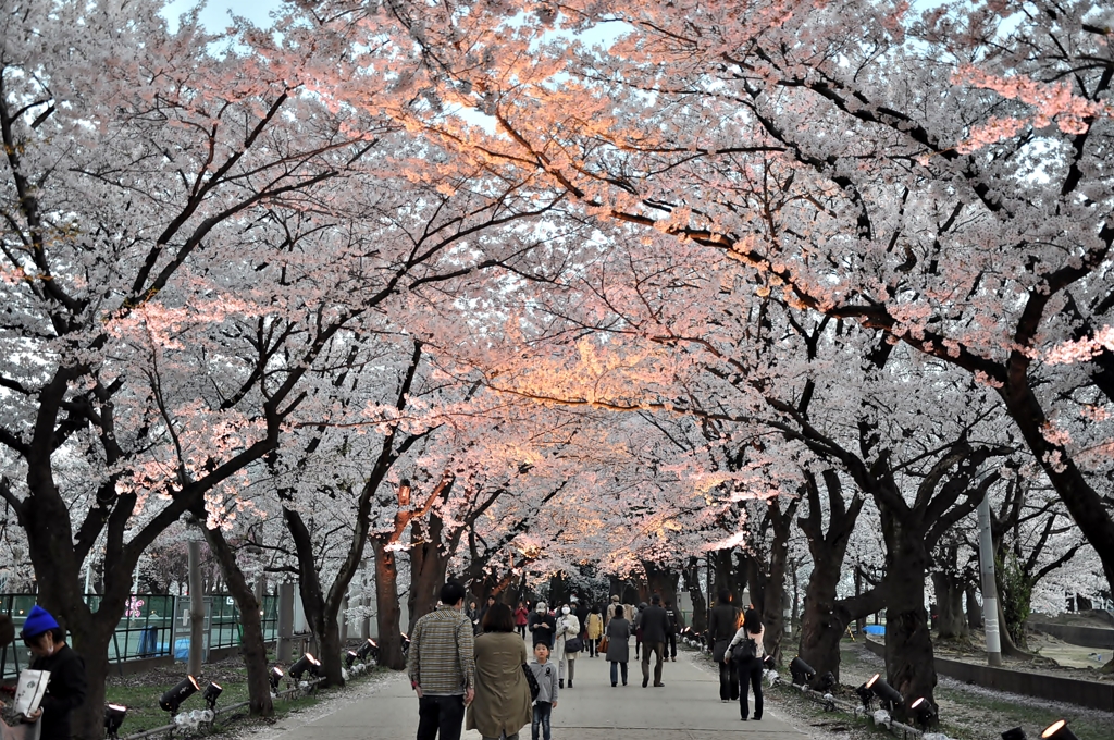 新潟県上越市高田　高田公園