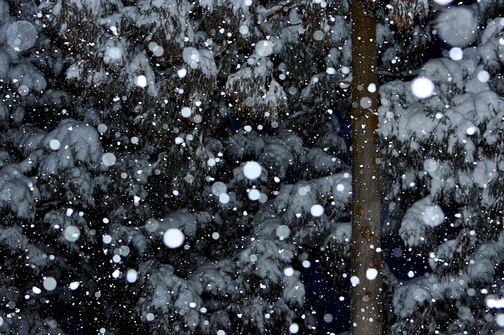 【練習用に】雪の光