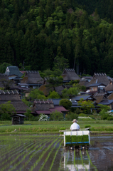 美山の営み