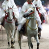 走馬の合間