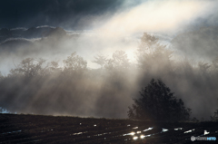 Becomes the cloud