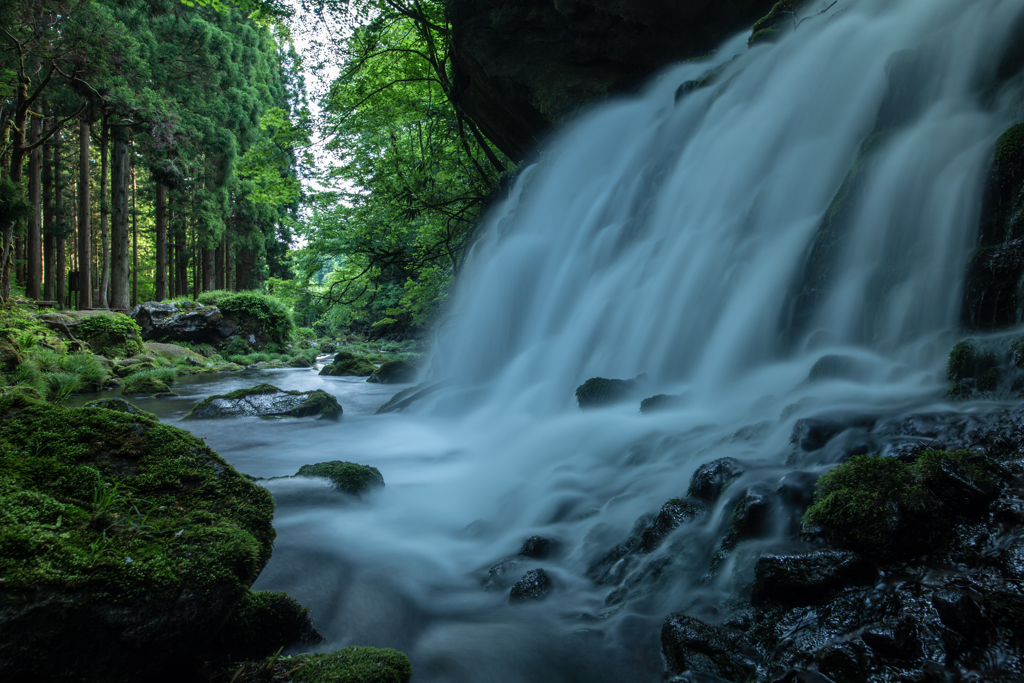 Morning Waterfall