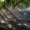 Morning light