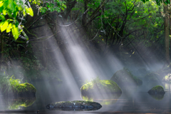 beam of light