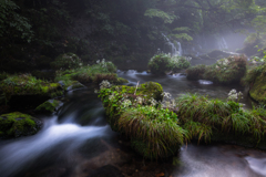 Morning River