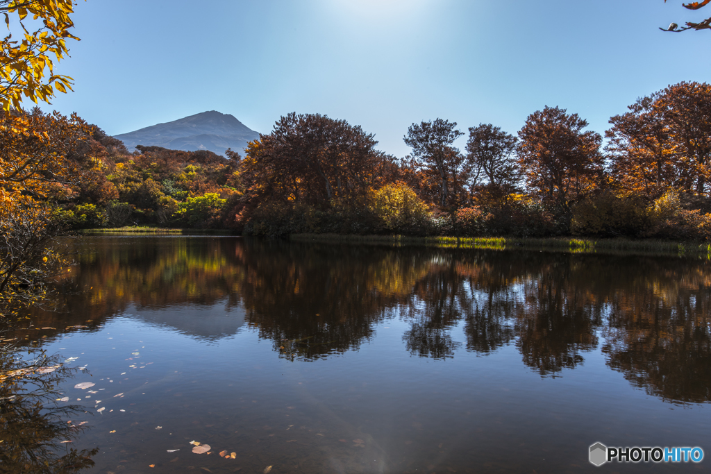 Autumn of the marsh