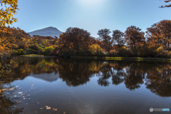 Autumn of the marsh