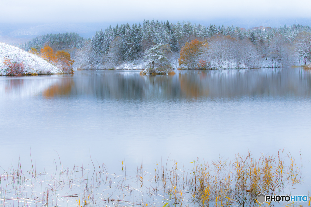 Early winter ～ Toushi