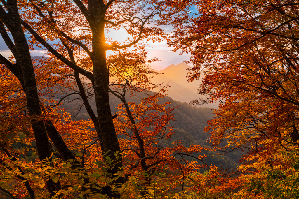Morning light