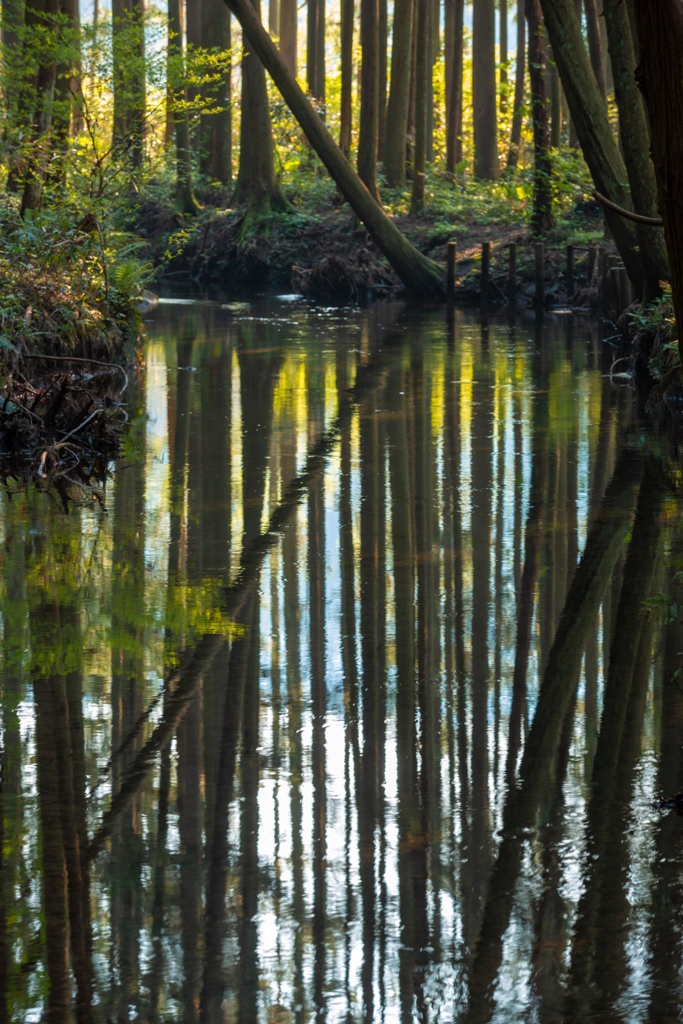 Reflection